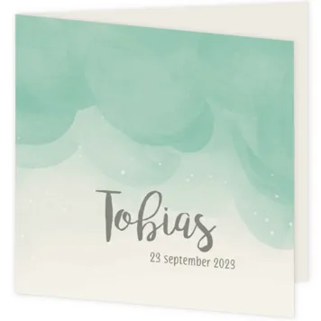 Watercolor - Tobias