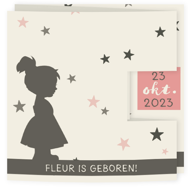 Geboortekaartjes voor een meisje - geboortekaartje LC496-M