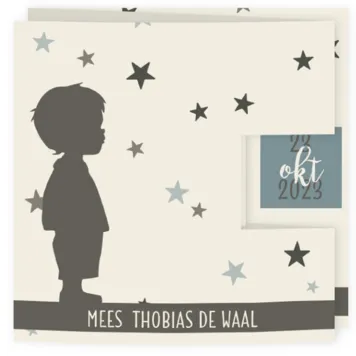 Drieluik silhouet met sterren (jongen)