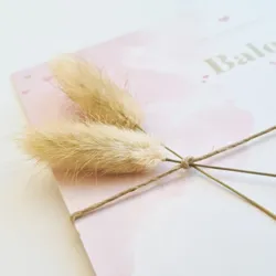 Geboortekaartje Balou roze waterverf enkel met 2 agurus droogbloemen