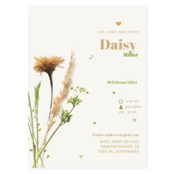 Geboortekaartje getekende droogbloemen kaart enkel Daisy