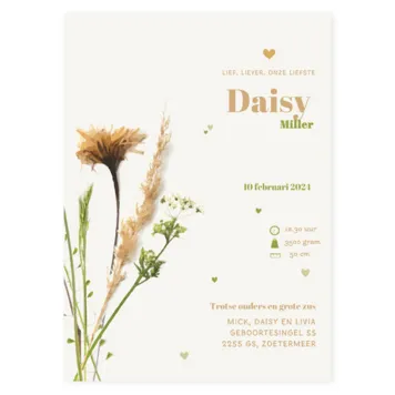 Geboortekaart getekende droogbloemen kaart enkel Daisy
