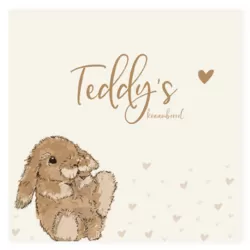 Kraamborrel konijntje Teddy