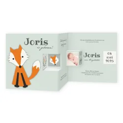 Vosje - Joris