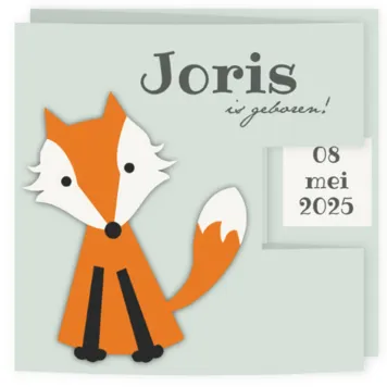 Vosje - Joris