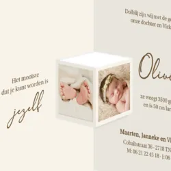 Drieluik met foto's Olivia