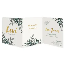 Botanical drieluik - Levi