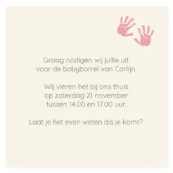 Feest kraamborrelkaartje vlaggenlijn