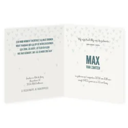 Max folie