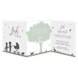 Geboortekaart silhouet grote broers kinderwagen