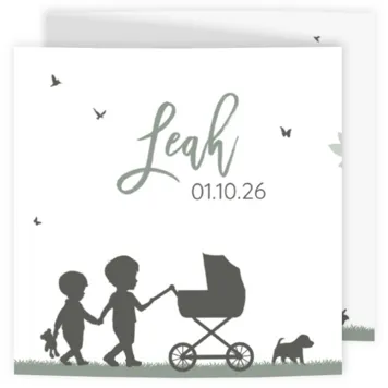 Geboortekaart silhouet grote broers kinderwagen