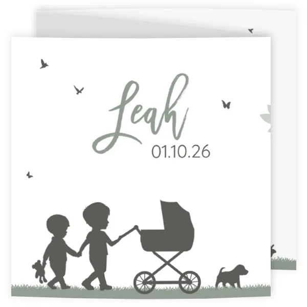 Geboortekaart silhouet grote broers kinderwagen