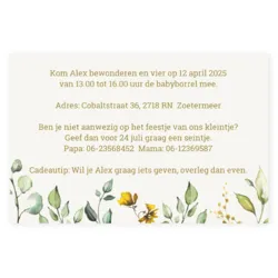 Kraamborrel waterverf blaadjes