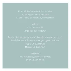 Kraamborrel zilveren krans mint