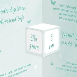 Geboortekaartje mint aquarel met silhouet van boom