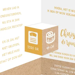 Drieluik geboortekaartje stippen voetjes