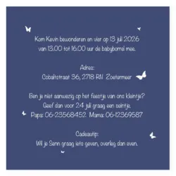 Kraamborrel silhouet vlieger blauw