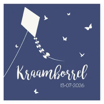 Kraamborrel silhouet vlieger blauw
