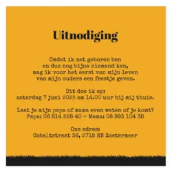 Kraamborrel geel met zwart meisje en kinderwagen silhouette