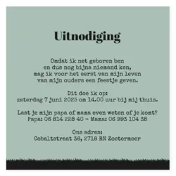 Kraamborrel groen met zwart, jongen en kinderwagen silhouet