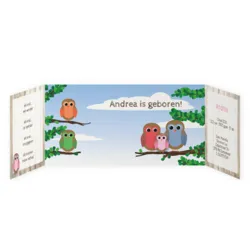 Geboortekaartje uiltjes familie