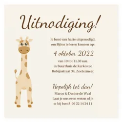 Kraamborrelkaart girafje