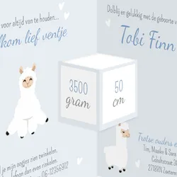 Geboortekaart drieluik alpaca jongen met hartjes