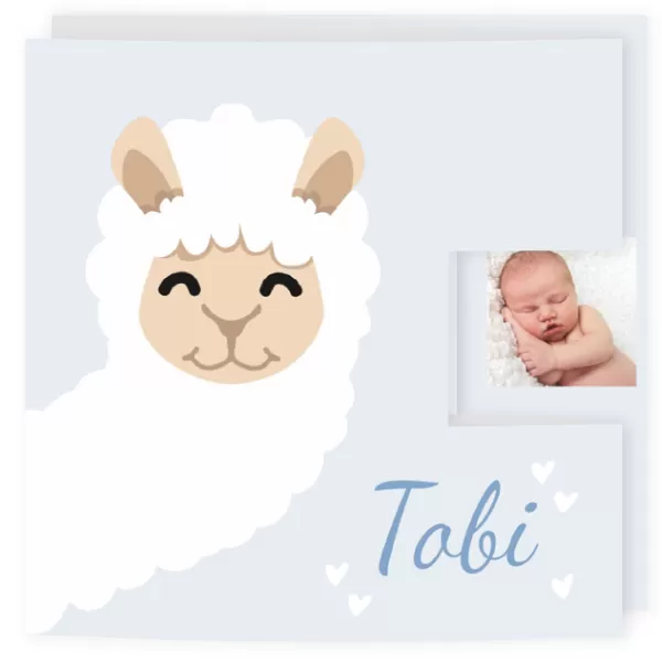 Geboortekaart drieluik alpaca jongen met hartjes