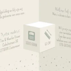 Geboortekaartje drieluik met sterretjes en hartjes op parelmoerpapier jongen