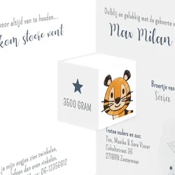 botanisch met een stoere tijger