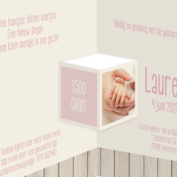 La Carte geboortekaartjes collectie - geboortekaartje LC368-M