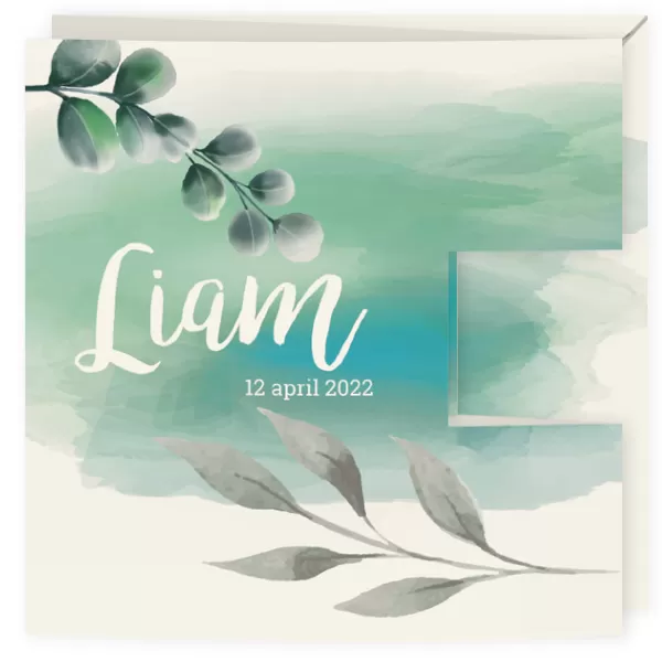 Geboortekaart drieluik- waterverf met blaadjes Liam