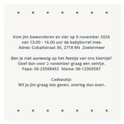 Kraamborrel houten ster