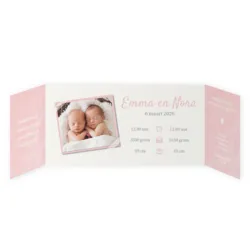 Geboortekaart roze tweeling meisjes