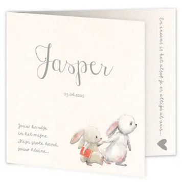 Geboortekaart zoon en broertje konijntjes met flap