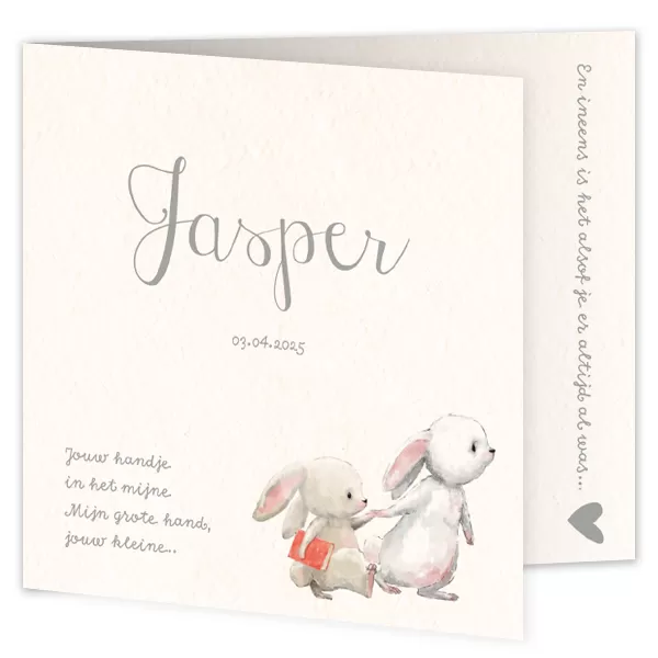 Geboortekaart zoon en broertje konijntjes met flap