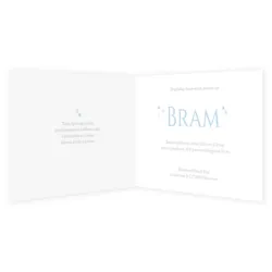 Blauw vlak Bram