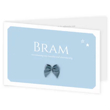 Blauw vlak Bram