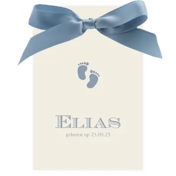 Grote blauwe strik Elias