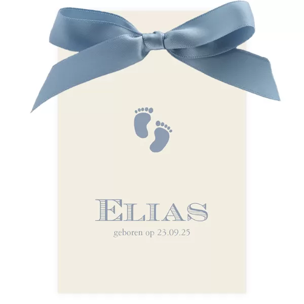 Grote blauwe strik Elias