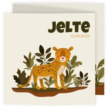 Tijgertje Jelte