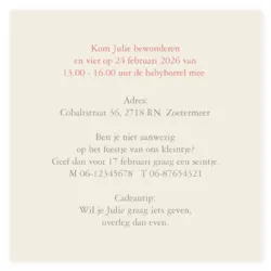 Kraamborrel roze strik