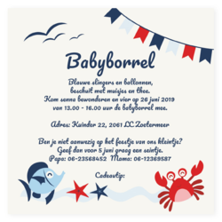 Babyborrel kaartjes & Kraamfeest uitnodigingen - geboortekaartje KB342