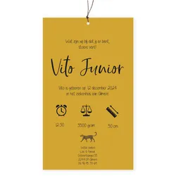 Geboortekaart hoesje Vito jungle luipaard