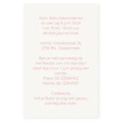 Kraamborrel uil roze