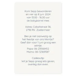 Kraamborrel uil blauw