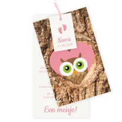 Geboortekaart uil in boom roze
