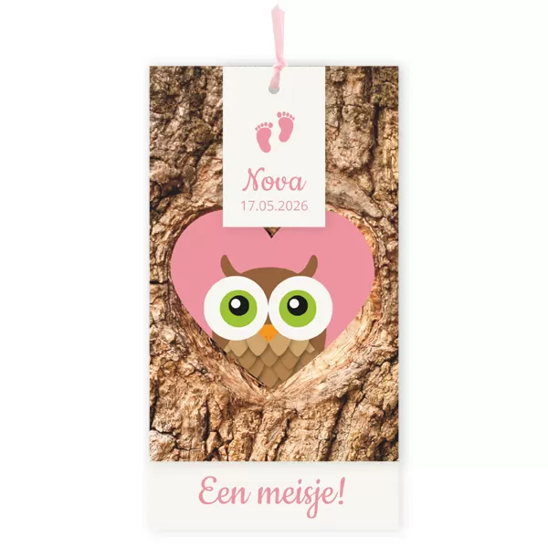 Geboortekaart uil in boom roze