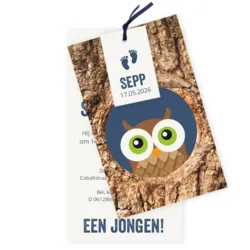 Geboortekaart uil in boom blauw