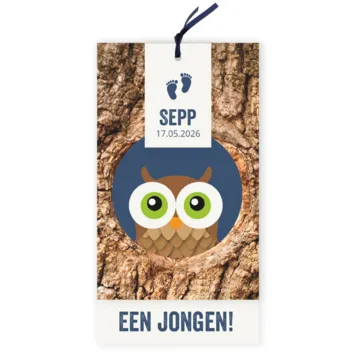 Geboortekaart uil in boom blauw